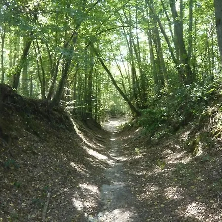 Проживание в семье La Halte