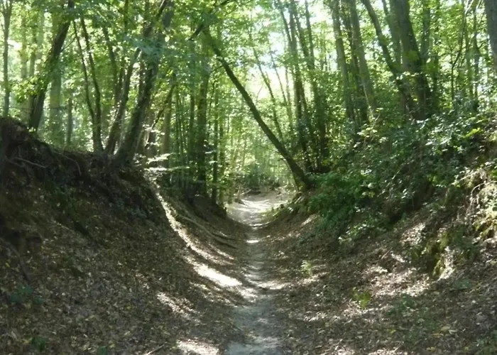 Δωμάτια σε οικογενειακή κατοικία La Halte